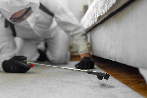 Professional Termite Control technician working in Brandon, MS