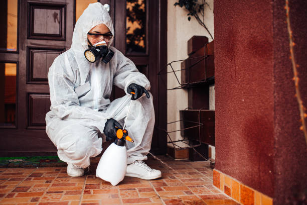 Reliable Termite Control contractor in Brandon, MS by Nex Pest Control